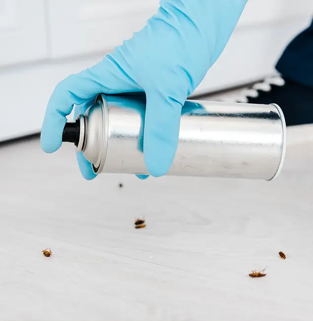 Why Choose Estero Pest Control Pro for Safe Bed Bug Treatment in Estero, FL?