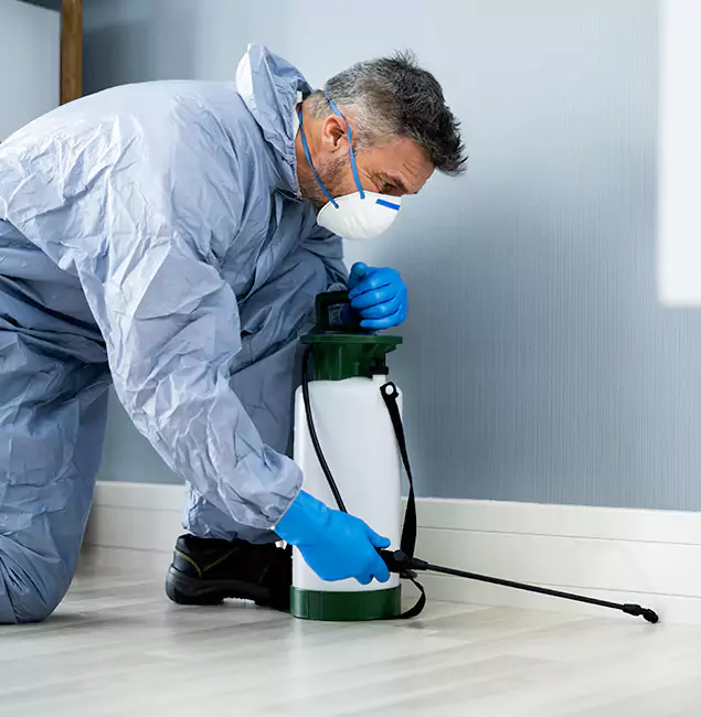 Why Choose Estero Pest Control Pro for Subterranean Termites Treatment in Estero, FL?