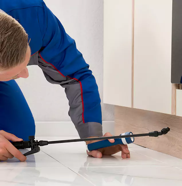 Why Estero Residents Choose Estero Pest Control Pro to Get Rid of Sugar Ants?