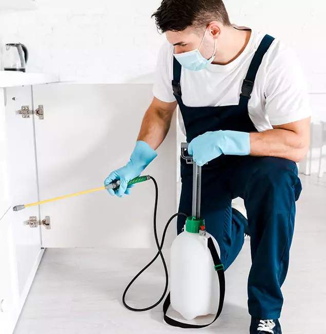 Why Choose Estero Pest Control Pro for Termite Spot Treatment in Estero, FL?