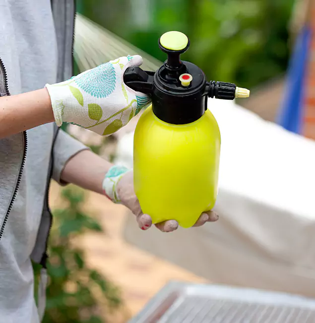 Why Choose Us: Estero Pest Control Pro Termite Spraying Experts in Estero, FL?
