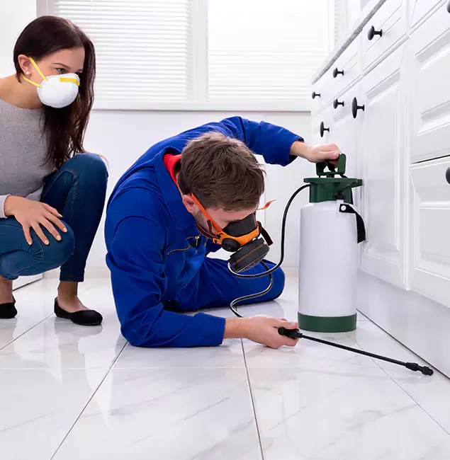 Why Choose Wood Termite Treatment by Estero Pest Control Pro in Estero, FL?