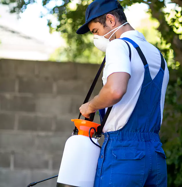 Why Estero Pest Control Pro Is the Right Choice for Yellow Jacket Removal in Estero, FL?
