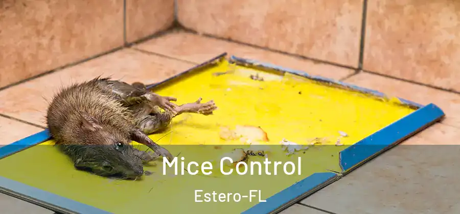 Mice Control Estero-FL