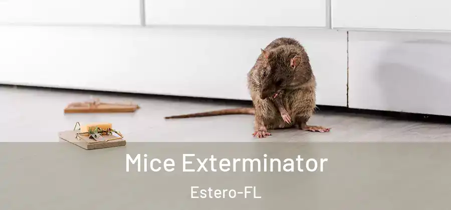  Mice Exterminator Estero-FL