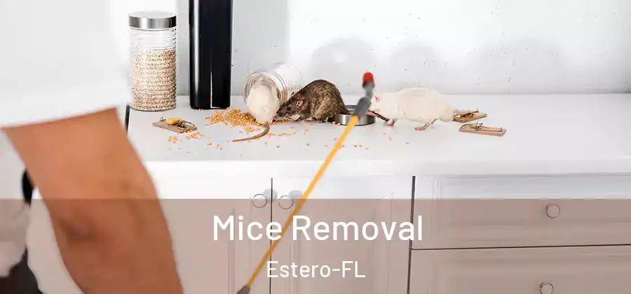  Mice Removal Estero-FL
