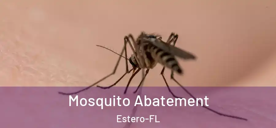 Mosquito Abatement Estero-FL