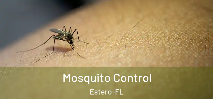  Mosquito Control Estero-FL