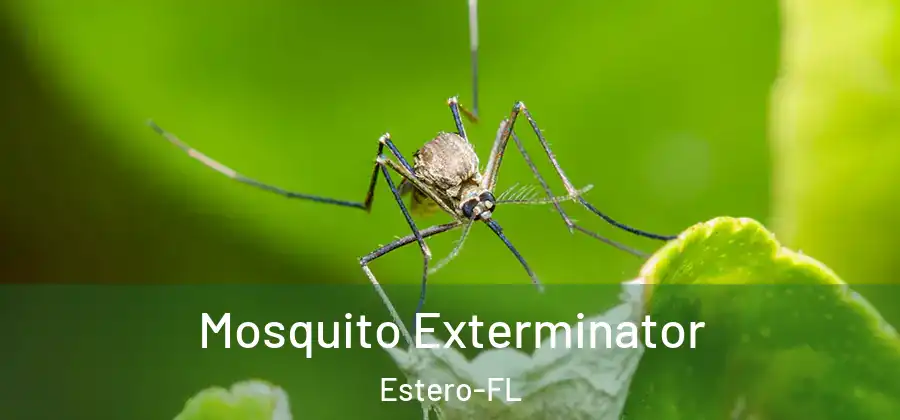 Mosquito Exterminator Estero-FL