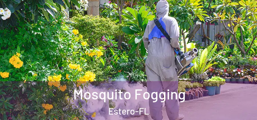 Mosquito Fogging Estero-FL