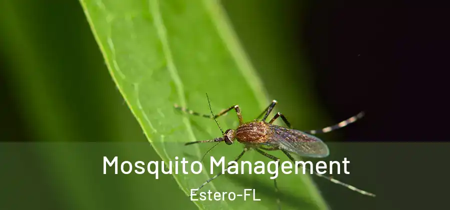 Mosquito Management Estero-FL