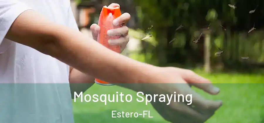  Mosquito Spraying Estero-FL