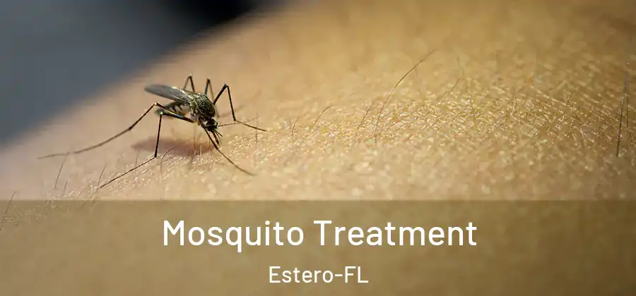 Mosquito Treatment Estero-FL