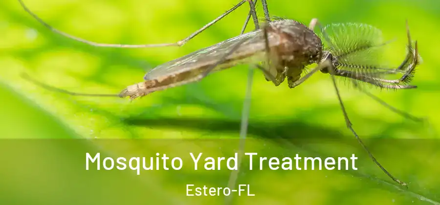  Mosquito Yard Treatment Estero-FL