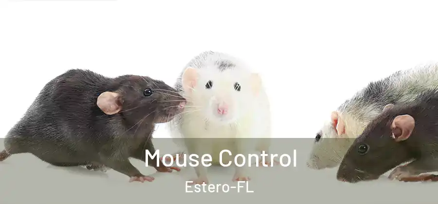 Mouse Control Estero-FL