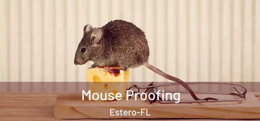 Mouse Proofing Estero-FL