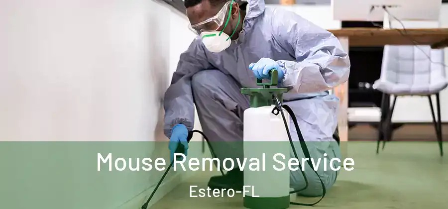  Mouse Removal Service Estero-FL