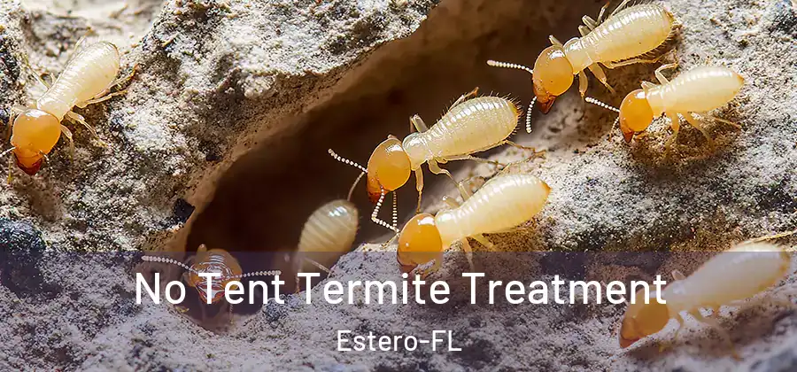 No Tent Termite Treatment Estero-FL