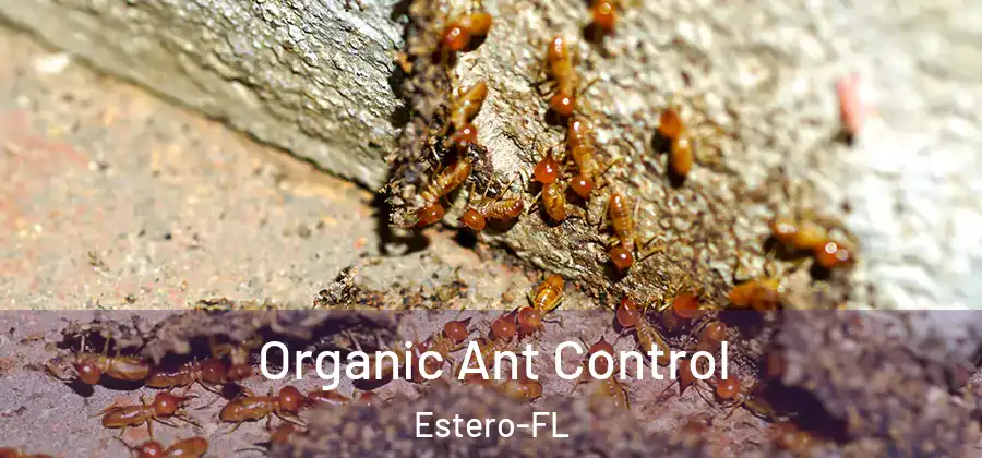  Organic Ant Control Estero-FL