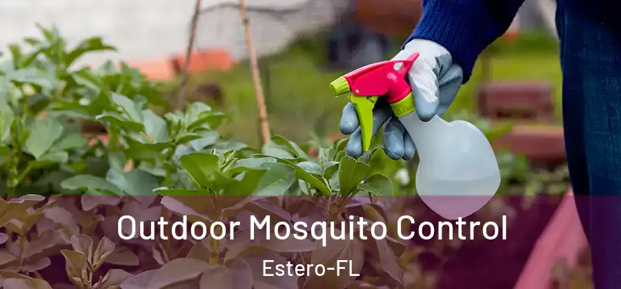 Outdoor Mosquito Control Estero-FL