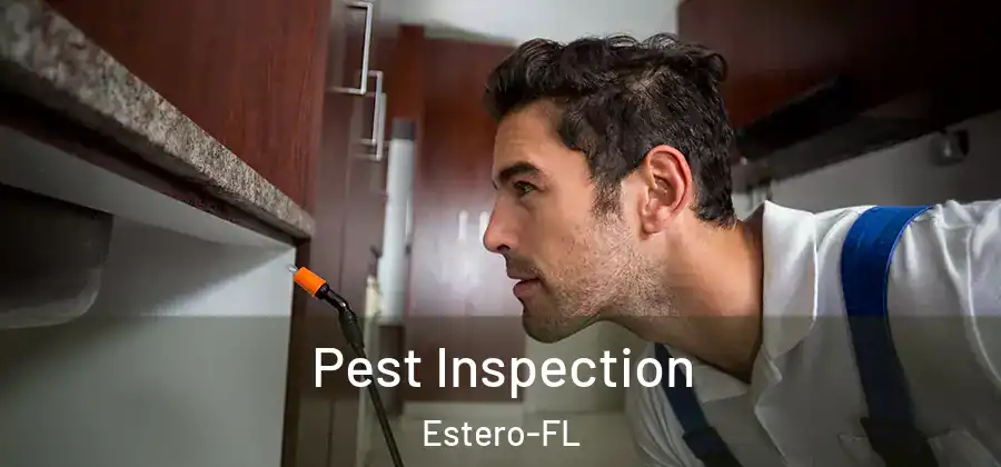 Pest Inspection Estero-FL