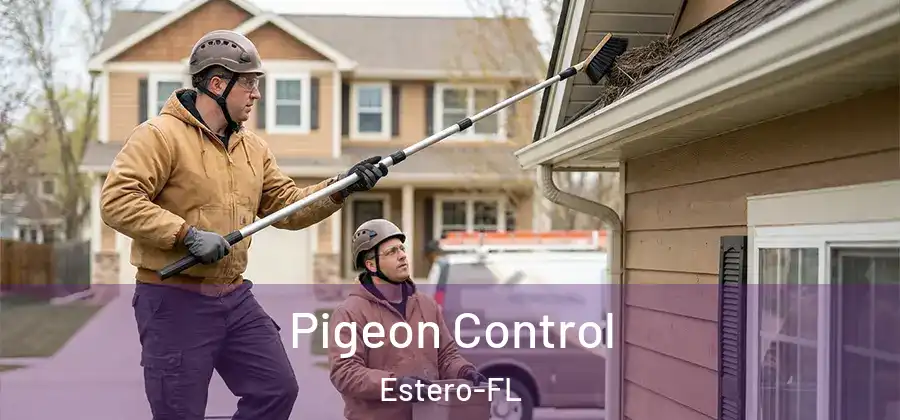 Pigeon Control Estero-FL
