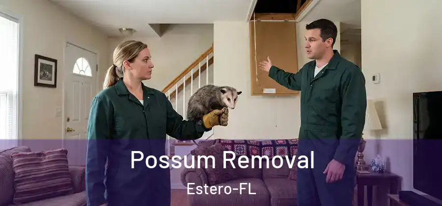  Possum Removal Estero-FL