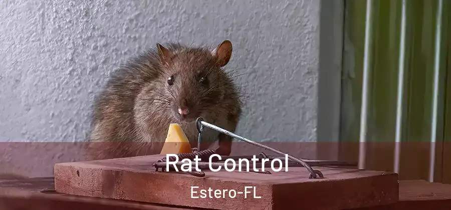 Rat Control Estero-FL