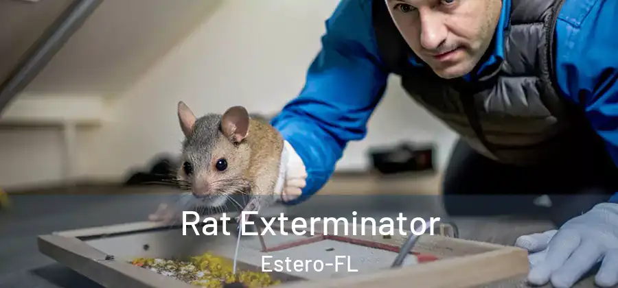  Rat Exterminator Estero-FL