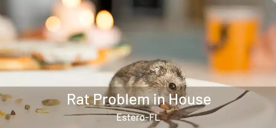  Rat Problem in House Estero-FL