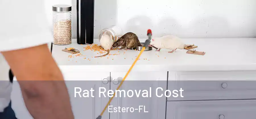  Rat Removal Cost Estero-FL