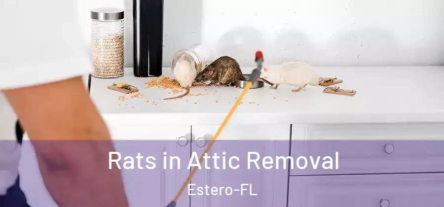  Rats in Attic Removal Estero-FL