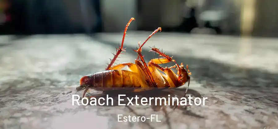 Roach Exterminator Estero-FL