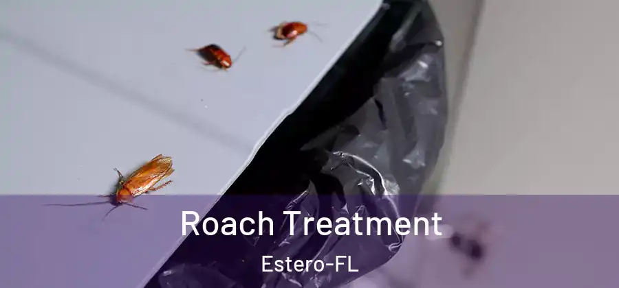 Roach Treatment Estero-FL