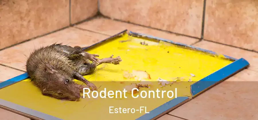 Rodent Control Estero-FL