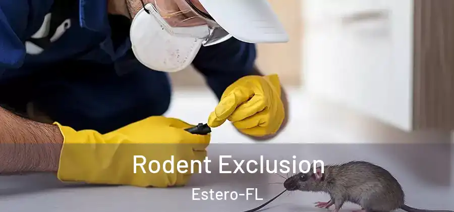  Rodent Exclusion Estero-FL