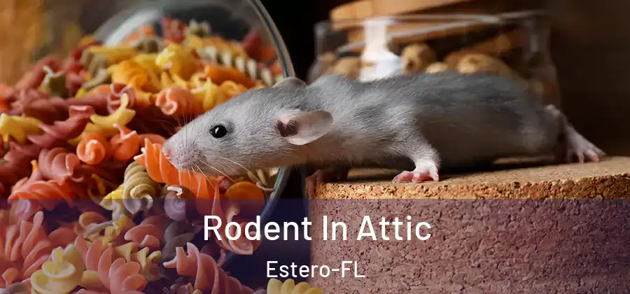 Rodent In Attic Estero-FL
