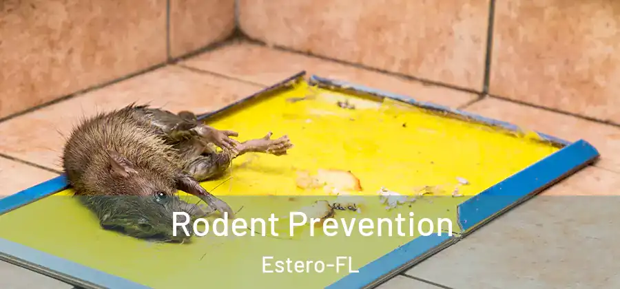  Rodent Prevention Estero-FL
