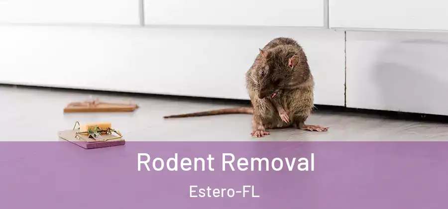  Rodent Removal Estero-FL