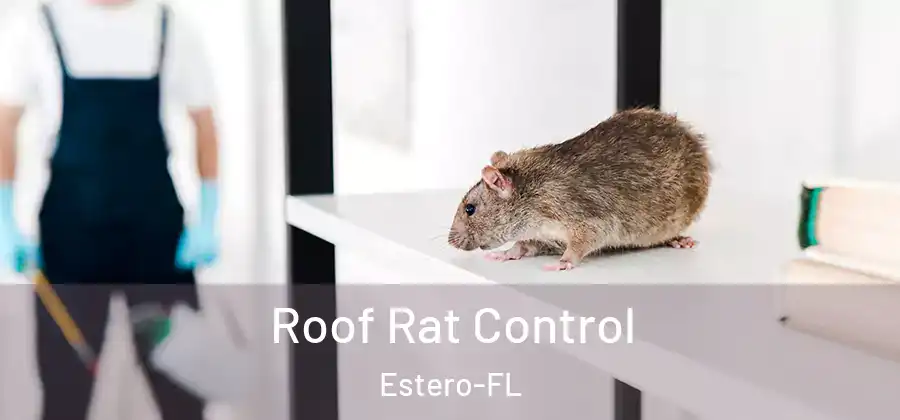  Roof Rat Control Estero-FL