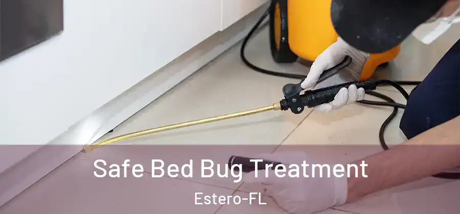 Safe Bed Bug Treatment Estero-FL