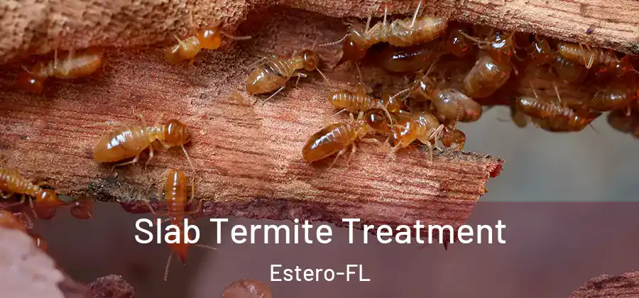 Slab Termite Treatment Estero-FL
