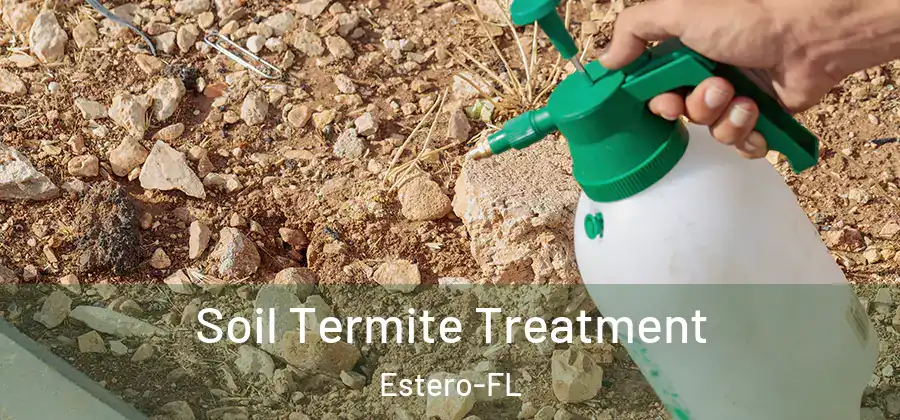 Soil Termite Treatment Estero-FL