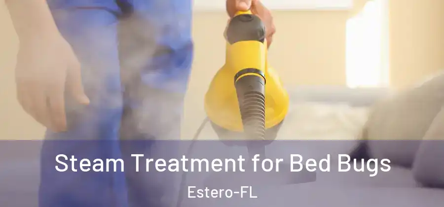 Steam Treatment for Bed Bugs Estero-FL