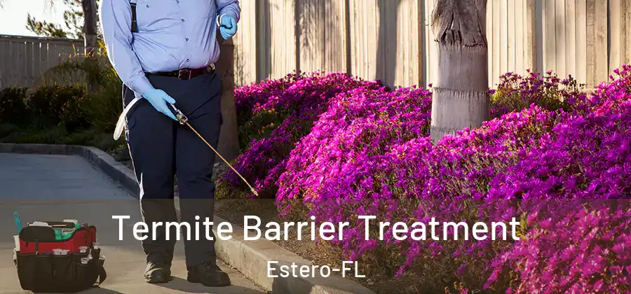  Termite Barrier Treatment Estero-FL