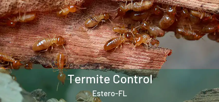 Termite Control Estero-FL