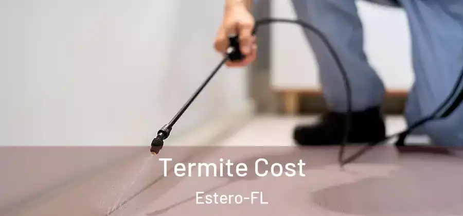 Termite Cost Estero-FL