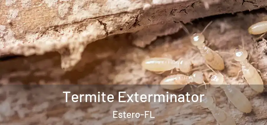  Termite Exterminator Estero-FL