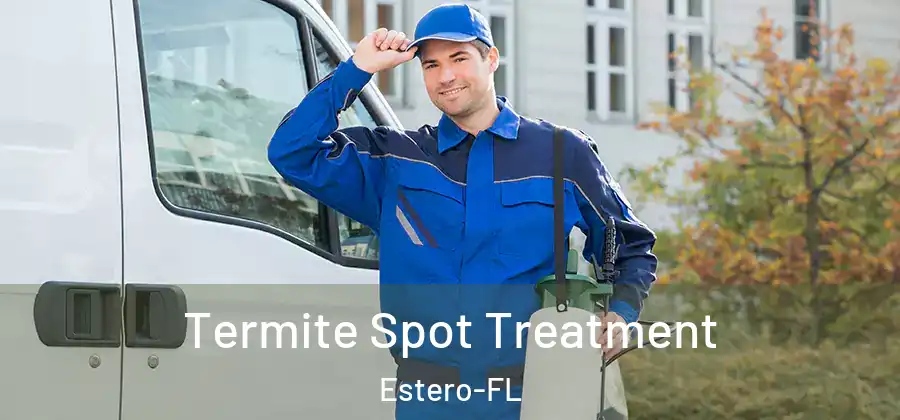 Termite Spot Treatment Estero-FL