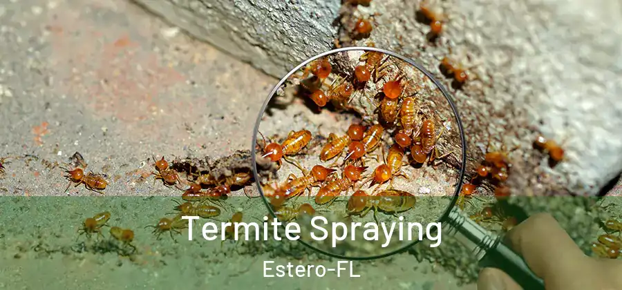 Termite Spraying Estero-FL